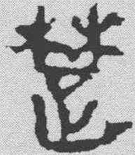 楚,馬王堆帛書 ,書法字典